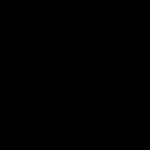 Meet your Posher, Dillon